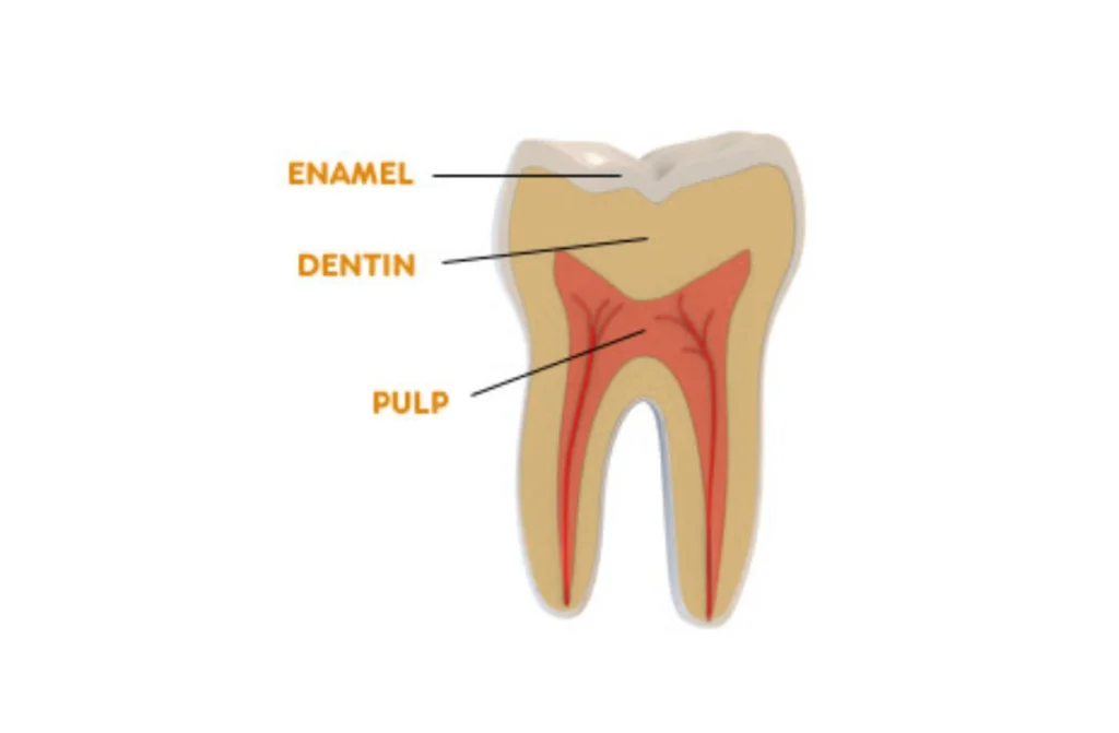 kids dentistry